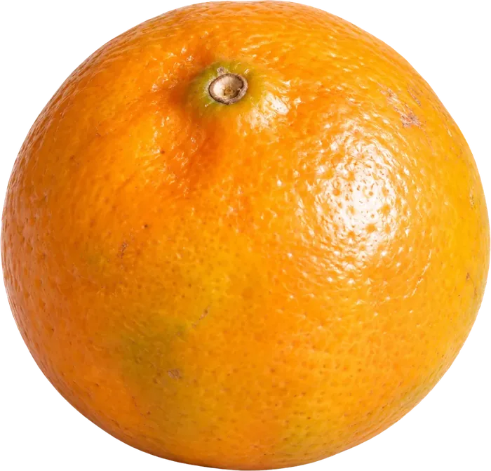 Mandarina de Gomqui, venta por caja en el Mercado de Abastos de Guadalajara